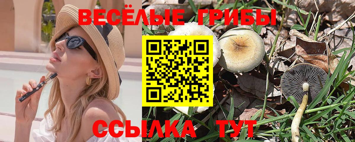 Псилоцибиновые грибы MAGIC MUSHROOMS  Вход с VPN  Россия 